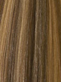 Dark Medium Brown / Honey Blonde