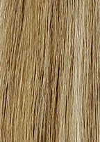 Wheat Blonde Light Blonde