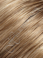 Light Ash Brown/Light Blonde