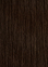 Dark Medium Brown