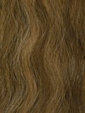 Dark Medium Brown / Honey Blonde