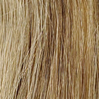 Medium Ash Brown / Light Blonde