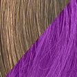 R10/Chestnut/Dark Purple