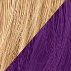 R25/Ginger Blonde/Dark Purple