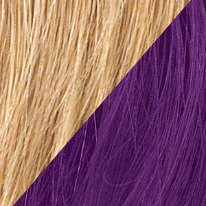 R25/Ginger Blonde/Dark Purple