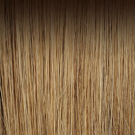 Light Brown Root / Light Golden Brown / Wheat Blonde