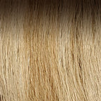 Medium Ash Brown Root / Light Golden Brown