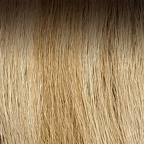 Medium Ash Brown Root / Light Golden Brown