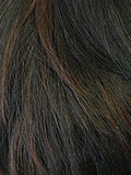 Off Black / Dark Auburn